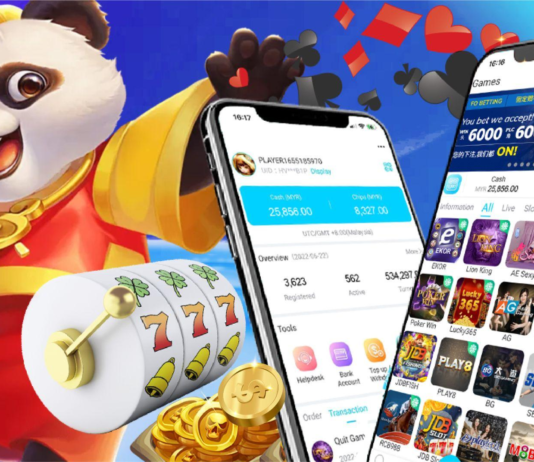 What a WinBox Player Should Expect from Game Software Developers and Providers WinBox