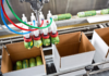 The Essential Role of Case Packing Systems and Case Packers